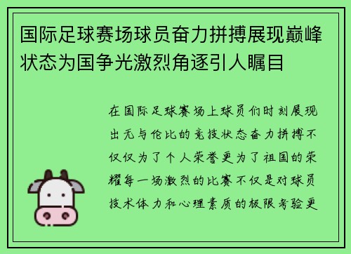 国际足球赛场球员奋力拼搏展现巅峰状态为国争光激烈角逐引人瞩目