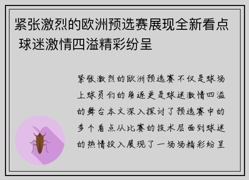 紧张激烈的欧洲预选赛展现全新看点 球迷激情四溢精彩纷呈